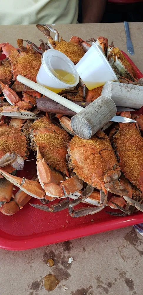 Maryland Blue Crab